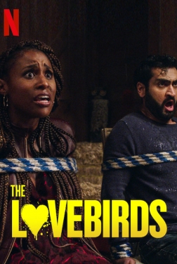 The Lovebirds 2020