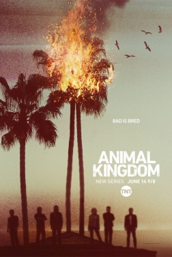 Animal Kingdom (Serie TV) streaming