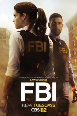FBI (Serie TV) streaming