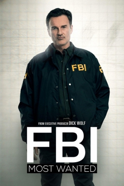 FBI: Most Wanted (Serie TV) streaming