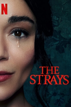 The Strays 2023 streaming