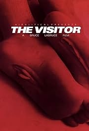 The Visitor  2024